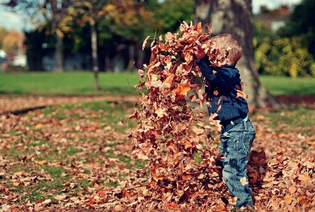 whats on for kids October half term